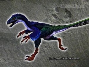 [ScienceNews] （１５）鳥の祖先はやはり恐竜だった！～指論争に終止符を打つ発生研究～
