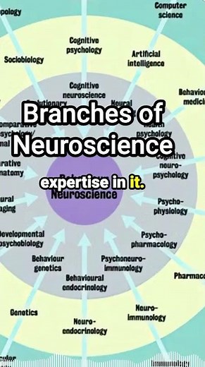 Different Branches of #Neuroscience