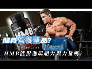 HMB對健身很有效果嗎？