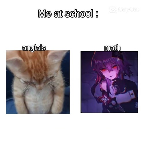 moi en math et les autres matières trop forte mais l'anglais jsuis nulle