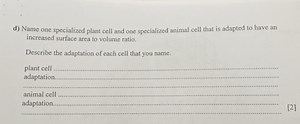 Name one specialized plant cell and one specialized animal cell... | Filo
