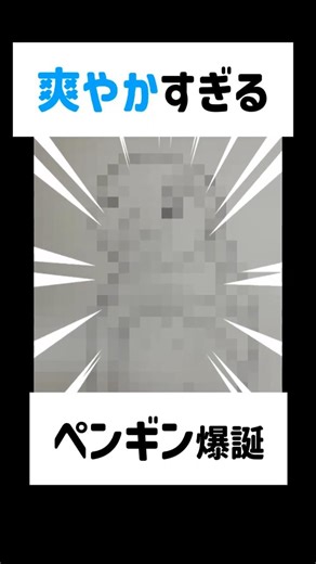 似てますか？一発描き！爽やかすぎるペンギン #shorts #イラスト #お絵描き #動物 #drawing