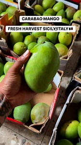Samen ka lang makakatikim ng CARABAO MANGO NA FRESH HARVEST FROM SICILY/ITALY | Angelo Thrift Negosyo Vlog