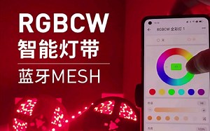 RGBCW智能灯带（蓝牙MESH）快速添加/调色彩调色温调亮度/自定义呼吸模式/音乐律动/昼夜节律/自定义缓开缓灭