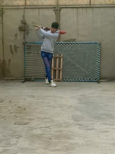 Mastering Cricket Techniques: Power and Precision