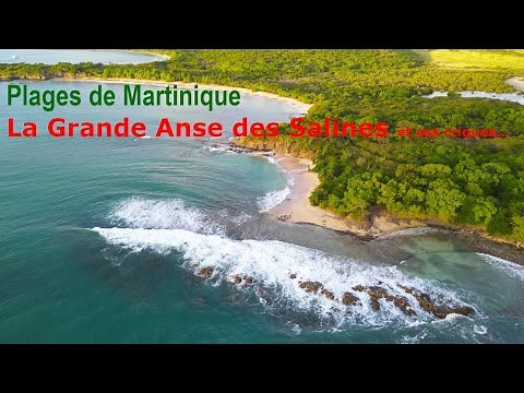 La plage des salines à Sainte-Anne en Martinique - 4k - 2021