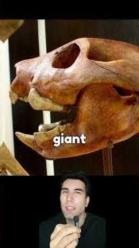 Australia’s Deadliest Predator You’ve Never Heard Of... #animals #nature #wildlife #extinctanimals