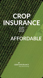 #CropInsurance is built to work for all farmers. It’s affordable, accessible to farms of every size and adaptable to fit the unique risks of any operation. Visit the link in our bio to learn more about how this program helps American farmer! | Crop Insurance Keeps America Growing