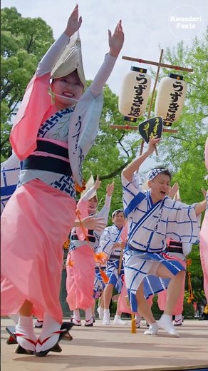 【阿波踊り2026】うずき連のフィナーレといえばこれ！