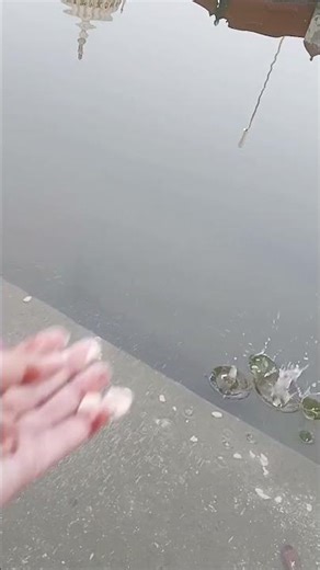 Destiny’s Plan#ytshorts#lifequotes#deepthoughts#realityoflife#ytshorts