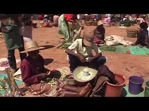 MADAGASCAR - THE RED ISLAND 1