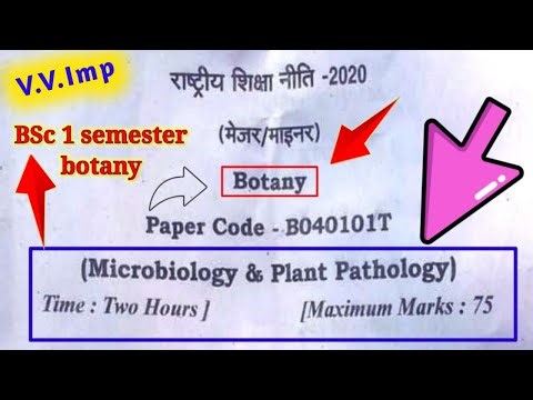 BSc 1st Semester Botany Previous Year Question Paper 2026–27 | Botany Important Questions