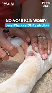 304 reactions · 3 comments | Protect your furry friend's skin with...