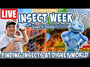 🔴Live: Celebrating Insect Week at Disney World! - Insects Search & More - Disney World Livestream