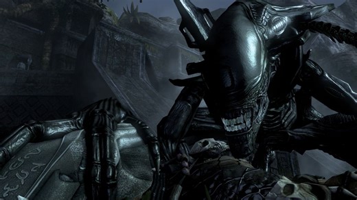 异形大战铁血战士2010 6号禁卫异形mod