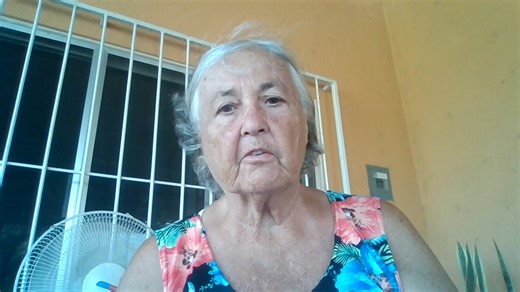 You are either training or untraining your dog | The Logical Dog