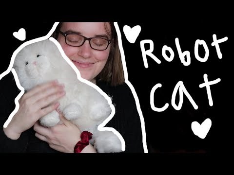 I build a robot cat