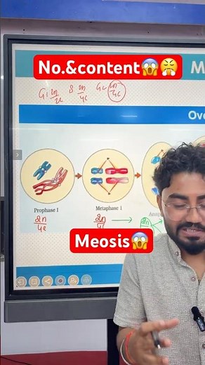 "Meiosis: Chromosome vs DNA Content SIMPLIFIED 🧬 NEET 2026 Biology"
