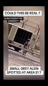 Could this be a real alien spotted at area 51 UFO God RAW VIDEO HERE ➡️ https://www.tiktok.com/t/ZP8UF3cNX/ #alien #ufo #ufosighting #area51 #ufos | UFO GOD