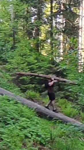 Carrying a tree down another steep tree