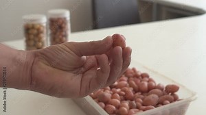 Small potato tubers grown in the laboratory by the breeding method. Growing new elite potato varieties