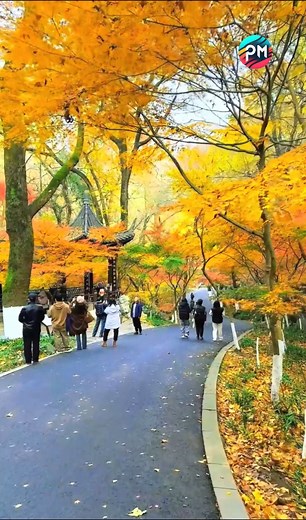 32K views · 1.9K reactions | such a stunning beautiful scenery  | Primitive Media | Facebook