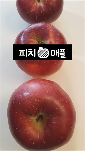 복숭아🍑 사과야🍎??? #피치애플 #브릭스 #peachapple