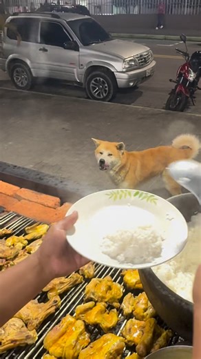 Abuelita Carmen on Instagram: "@cristian.ortiz.j gracias mijos por ayudarme y verá que pronto solucionamos lo del carro mijo #fblifestyle #Tena #Orellana #ecuatorianosenelmundo #ecuatorianosennewyork mexico mexicanosenusa latinosenestadosunidos cocina recetasfaciles recetas Ecuador españa usa miami londres China viralreelschallenge quito guayas manta PuyoPastaza bañosdeaguasanta riobamba_chimborazo_ecuador CuencaEcuador"