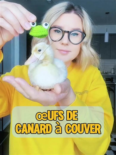 De quelle race de canard s'agit-il ?#animal #animaux