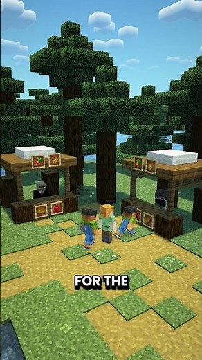 Pretty Privilege | Explain Using Minecraft #27