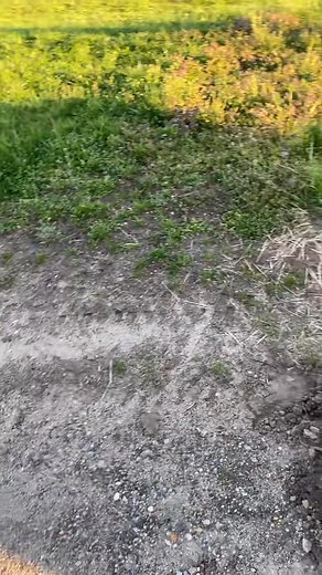 EXCITING AND NEW!!! #hdmech #hdmechdieselrepair #heavyequipment #heavyequipmentmechanic #gehl #johndeere #telehandler #yarddog #diesel #mechanic#freestuff #NASCAR #NFLSunday #freeitems #TransportationProvided #freetogoodhome #FitnessEquipment #curbsidepickup #trading #sticker #fblifestylee | Dakota Hoffman