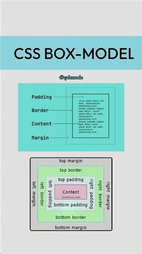 CSS BOX-MODEL. #cssboxmodel #cssborder #csstutorial #css