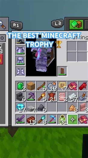 LET IT GOOOO #minecraft