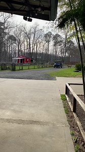 We LOVE their little screams everytime they see a person! 😂😐 #goats | goats