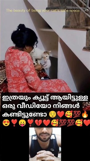 Most cutest video in social media❤️ഇത്രയും ക്യൂട്ട് ആയിട്ടുള്ള ഒരു വീഡിയോpet lovers#catloversoecial
