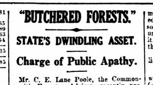 Forests for Industry or Forests for Life? Timber History in Western Australia.