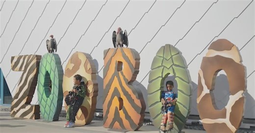 Preview for 2025 Zoo Boo at Detroit Zoo