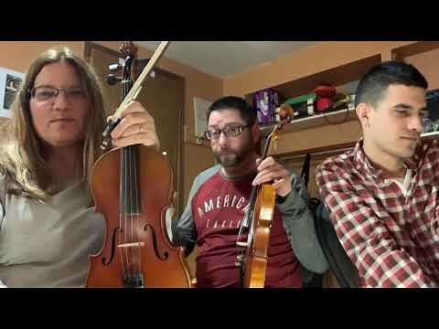 Day 363 - “Sugar Tree Stomp” - Patti Kusturok’s 365 Days of Fiddle Tunes