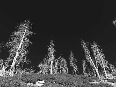 ACIM Lesson 9 - I see nothing as it is now.