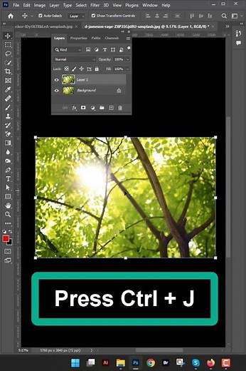 How to change trees color in photoshop 2025