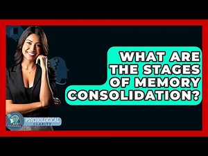 What Are The Stages Of Memory Consolidation? - Psychological Clarity