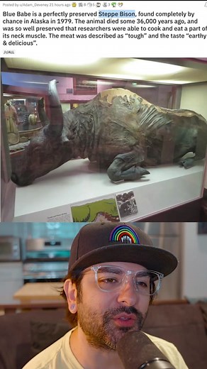 ItsNickHoliday on TikTok