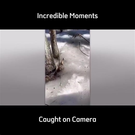 Incredible Moments Caught on Camera | Extra Alien