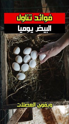 فوائد تناول البيض يوميا