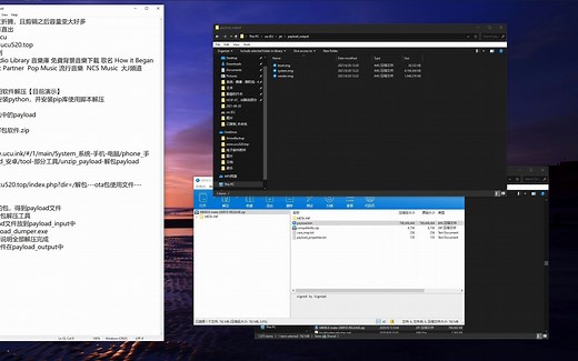[解包][安卓刷机包]-payload