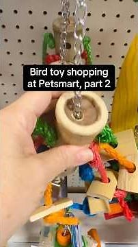 Review of bird toy options at Petsmart, part 2