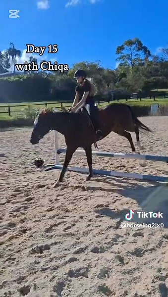 This horse is actually the best I love her please don't mind the horrid riding I was scared for my life but she was actually the cutest saw@E 🤎 and abby
