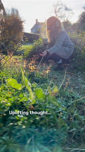 Farmer Gracy on Instagram: "🌷Spring’s coming and there’s so much to look forward to. The bulbs you planted last autumn will be in bloom, and getting new plants and bulbs started for summer. Have you ordered your summer bulbs and bare root perennials for spring planting yet? Enter code EARLYBIRD at checkout to save 10% on your order. Get your order sorted early and then look forward to delivery in Feb/March 🌸🌱 . . . #gardens #springscoming #planting #springflowers #dreamingofspring"