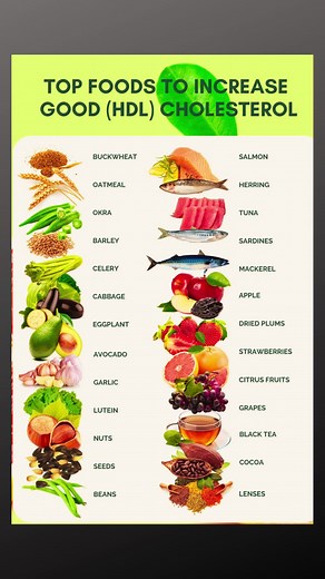 Foods That Increase Good Cholesterol Levels