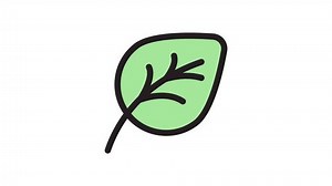 Leaf Spring Animated Icon On Transparent Stock Footage Video (100% Royalty-free) 1105822321 | Shutterstock